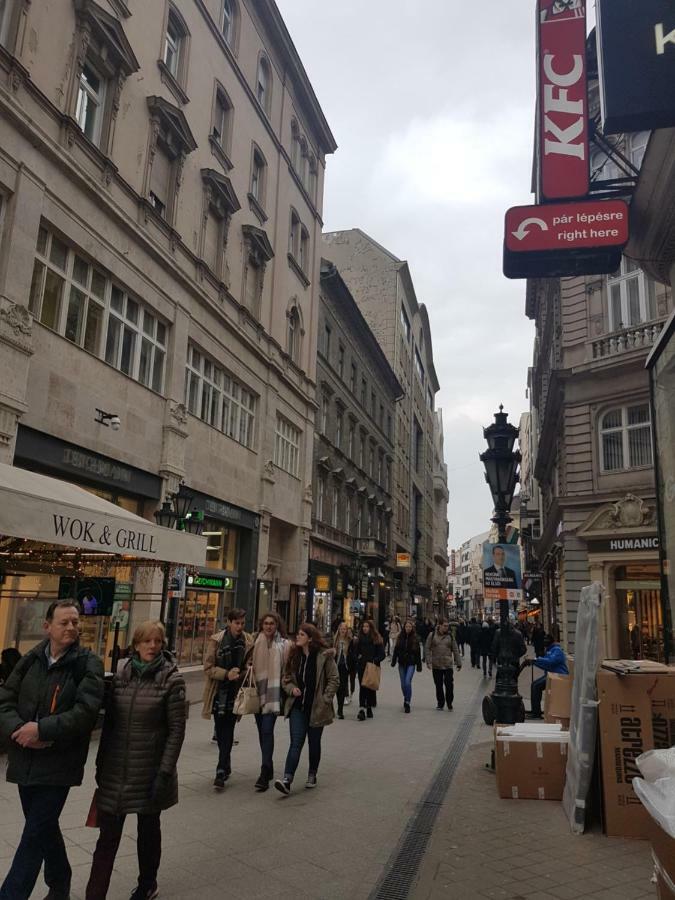 Choosy City Flat Budapest Eksteriør billede